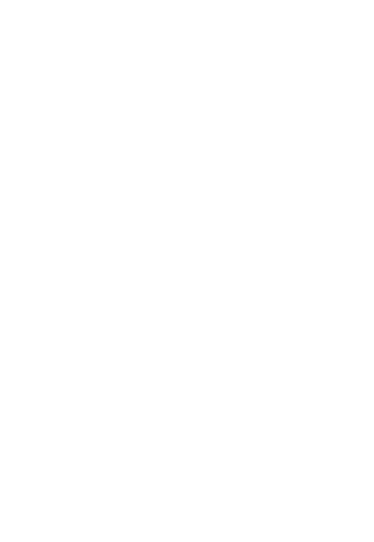 Five Sails Icon
