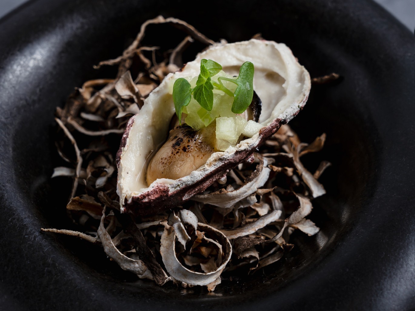 Award Winning Oyster with Edible Shell