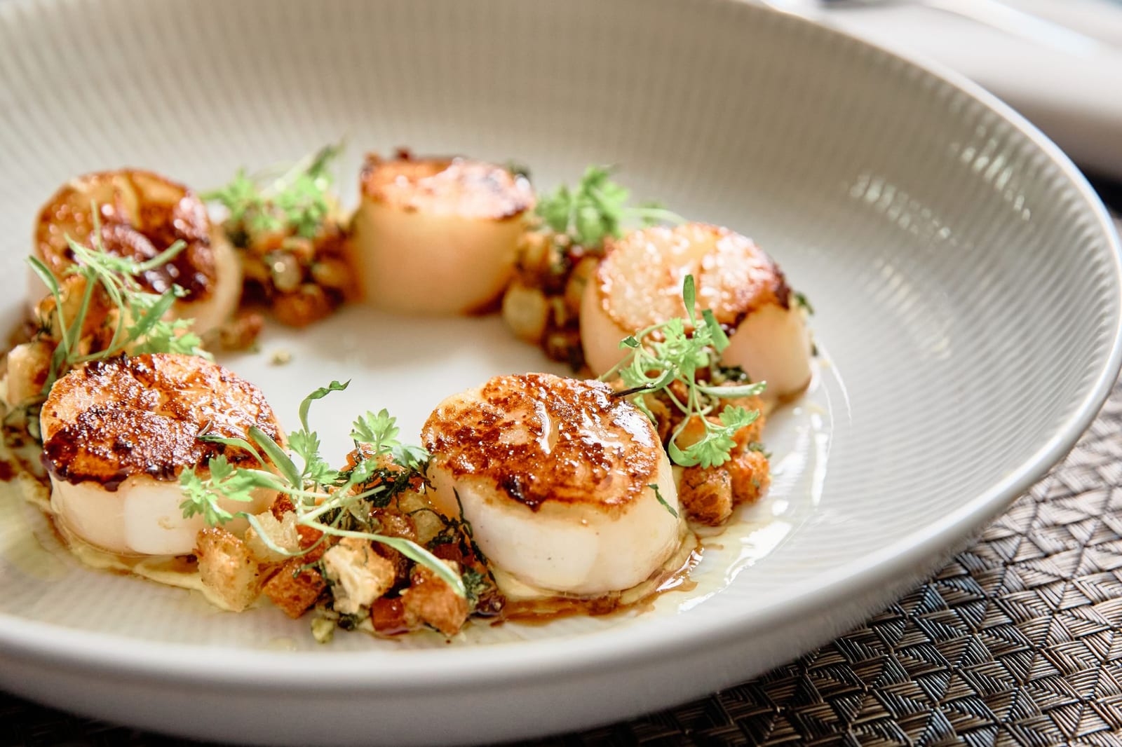 Seared scallops at Black+Blue Toronto